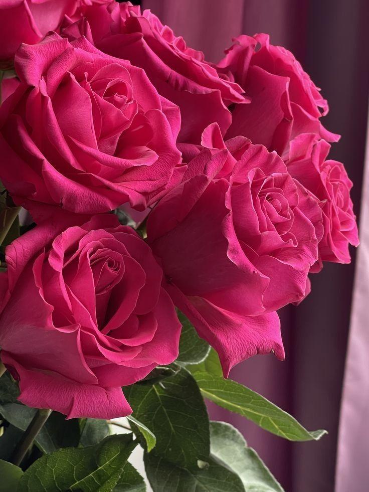 Subtle Meadow Path workshop space where corporate flower arrangements are designed and prepared for business delivery